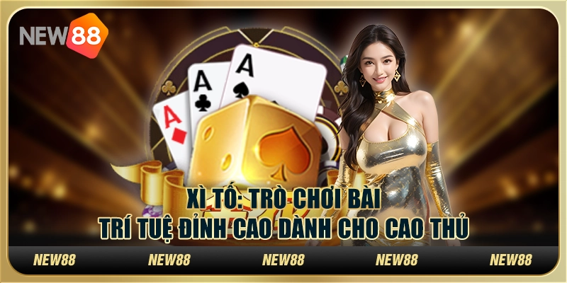 Xì Tố: Trò chơi bài trí tuệ đỉnh cao dành cho cao thủ