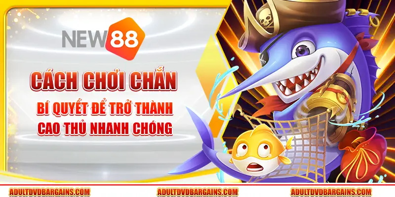 Cách chơi chắn - Bí quyết để trở thành cao thủ nhanh chóng