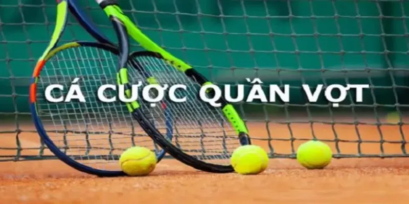 Cá cược quần vợt tại New88 - Những mẹo cược giúp bạn thắng lớn 4 Cách chọn lựa kèo phù hợp khi cá cược