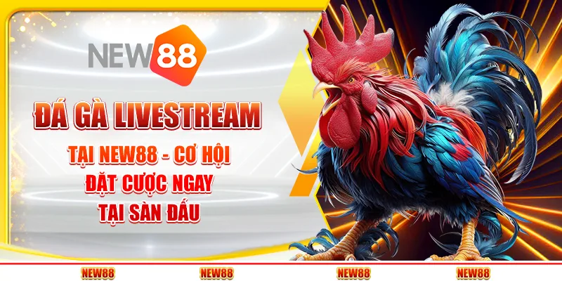 Đá gà livestream tại New88 - Cơ hội đặt cược ngay tại sàn đấu