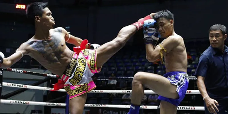 Cá cược đấu võ MMA tại New88 - Cơ hội làm giàu từ cú đấm thép 2 Tổng quan về cá cược đấu võ MMA tại New88