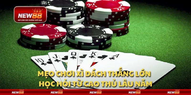 Mẹo chơi xì dách thắng lớn - Học hỏi từ cao thủ lâu năm