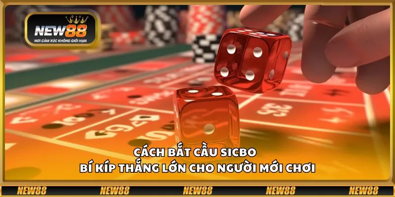 Cách bắt cầu Sicbo - Bí kíp thắng lớn cho người mới chơi