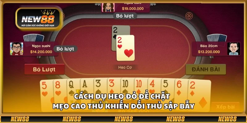 Cách dụ heo đỏ để chặt - Mẹo cao thủ khiến đối thủ sập bẫy