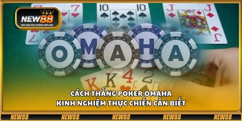 Cách thắng poker Omaha - Kinh nghiệm thực chiến cần biết