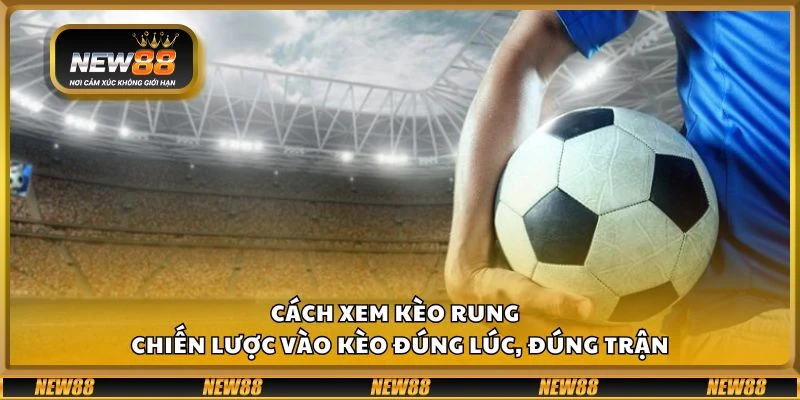 Cách xem kèo rung tại New88 - Chiến lược vào kèo đúng lúc, đúng trận